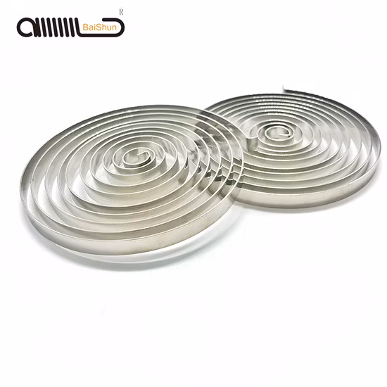 Verdickte Doppelfeder aus Edelstahl 304 mit Schlossschnalle, Holzgehäuse, schwere Schlossschnalle, Industrieschnalle, Taschenzubehör