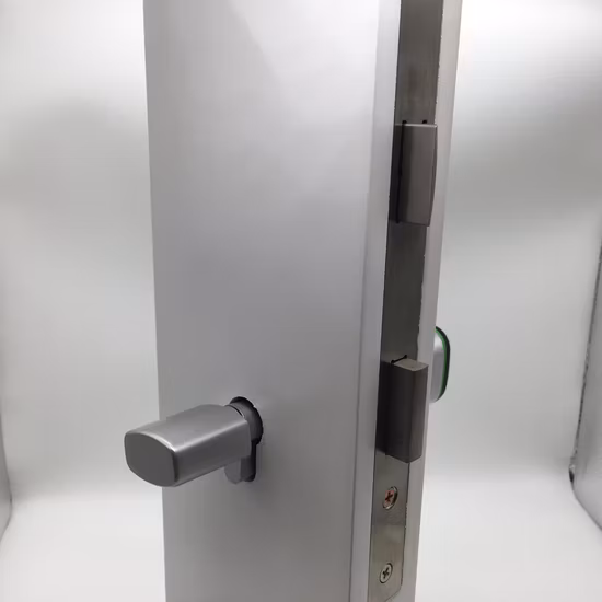 2021 Tuya Smart Zylinderschloss